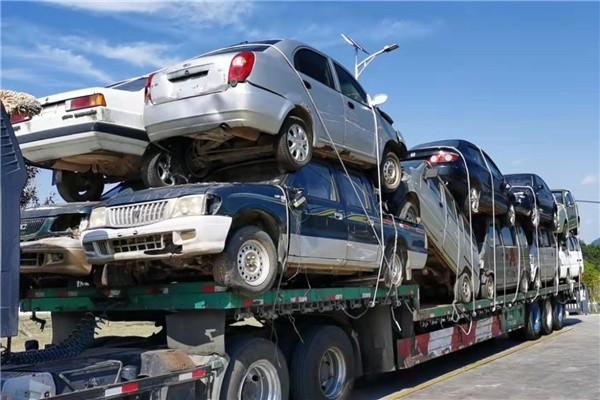 1704100944879221.jpeg bd3632615955c6ca79576db41759fc4a.jpeg